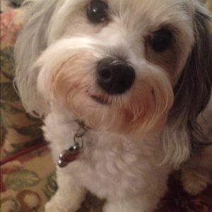 Meet your Posher, Pam